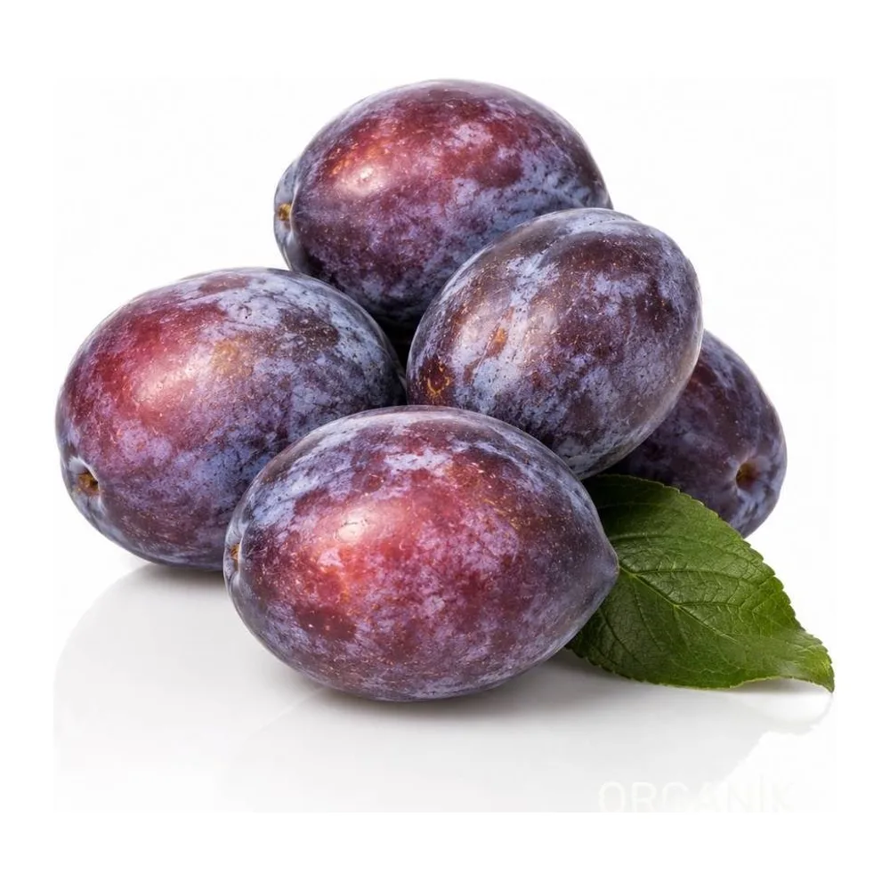Mürdüm Eriği