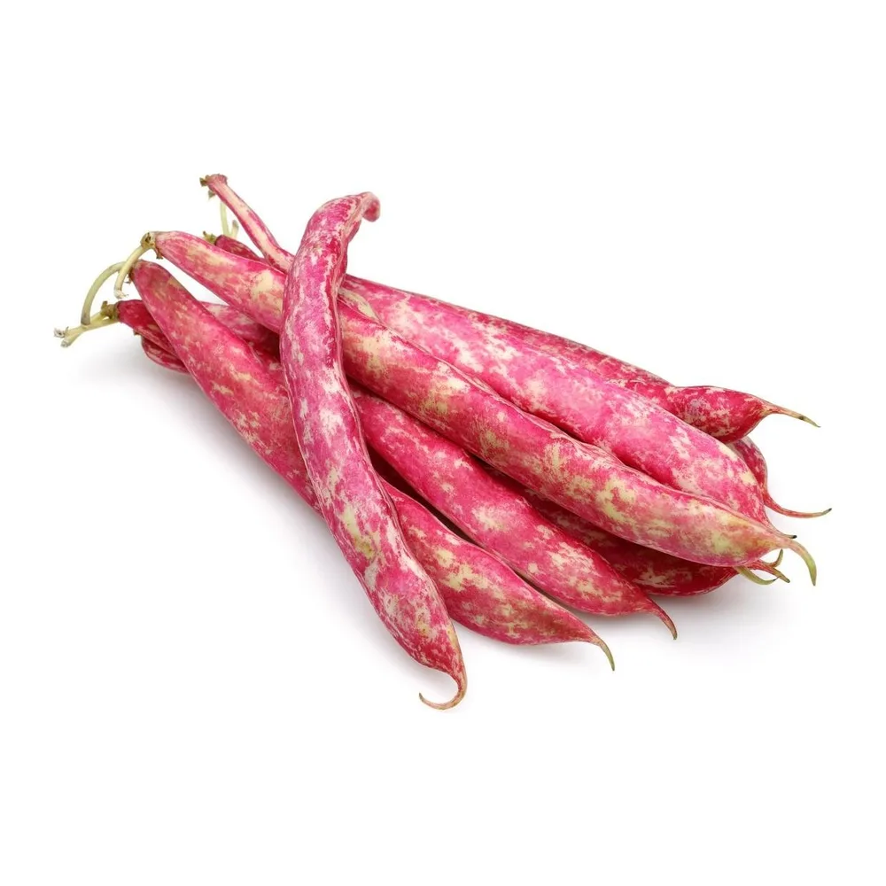 Taze Barbunya