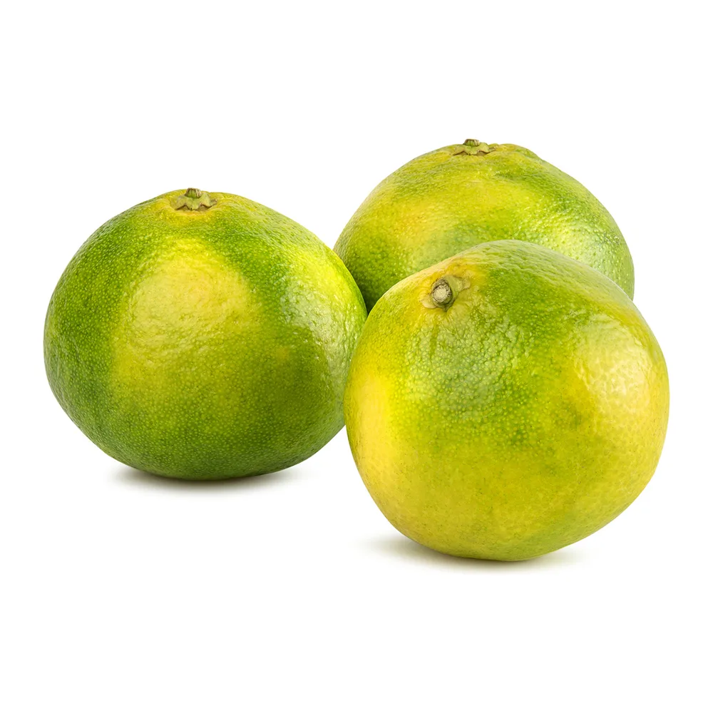 Yeşil Mandalina