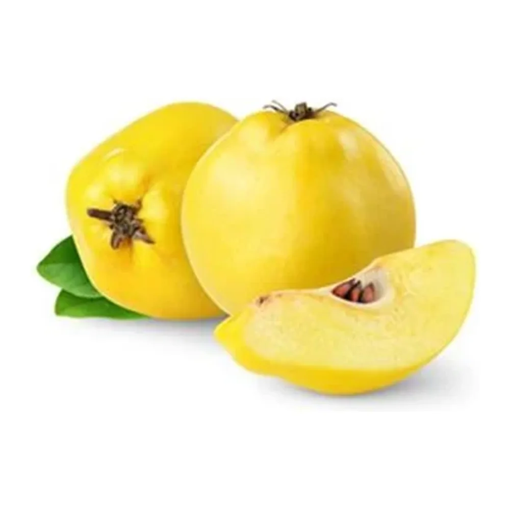 Ekmek Ayvası