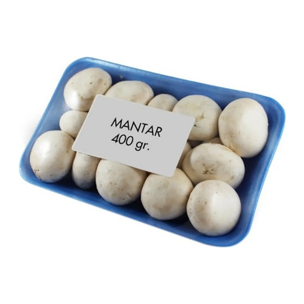 Mantar
