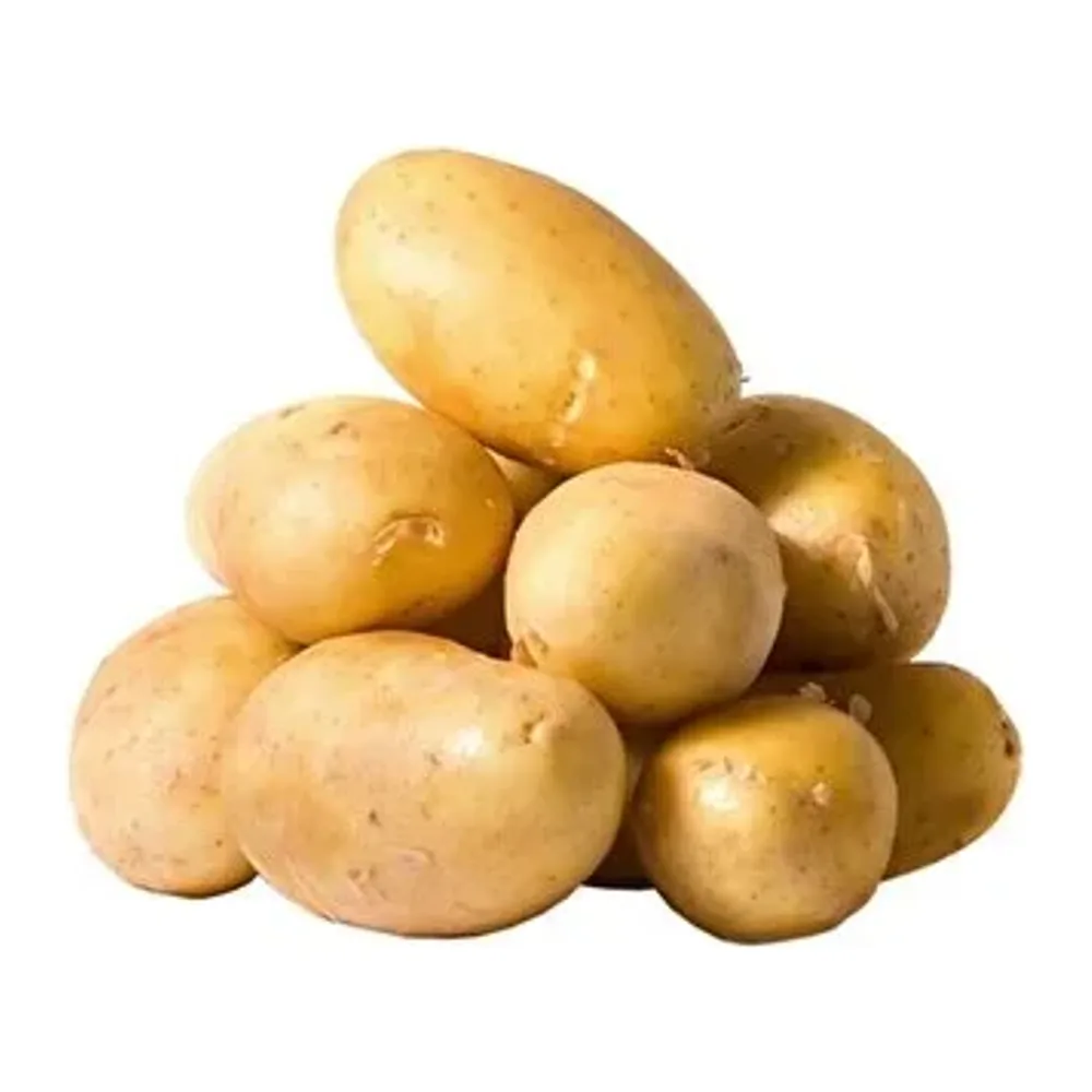 Agria Patates